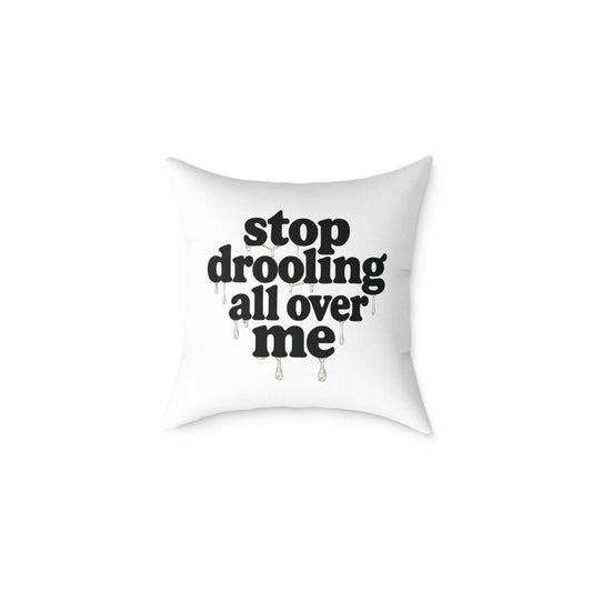 Funny Quote Pillow, Cozy Home Decor, Gift for Pet Lovers, Unique Accent Cushion, Funny Room Decor, Living Room Pillow