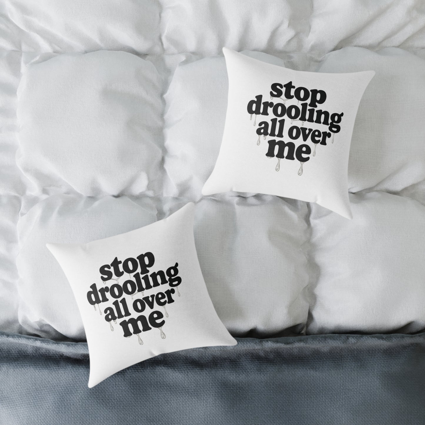 Funny Quote Pillow, Cozy Home Decor, Gift for Pet Lovers, Unique Accent Cushion, Funny Room Decor, Living Room Pillow