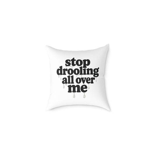 Funny Quote Pillow, Cozy Home Decor, Gift for Pet Lovers, Unique Accent Cushion, Funny Room Decor, Living Room Pillow